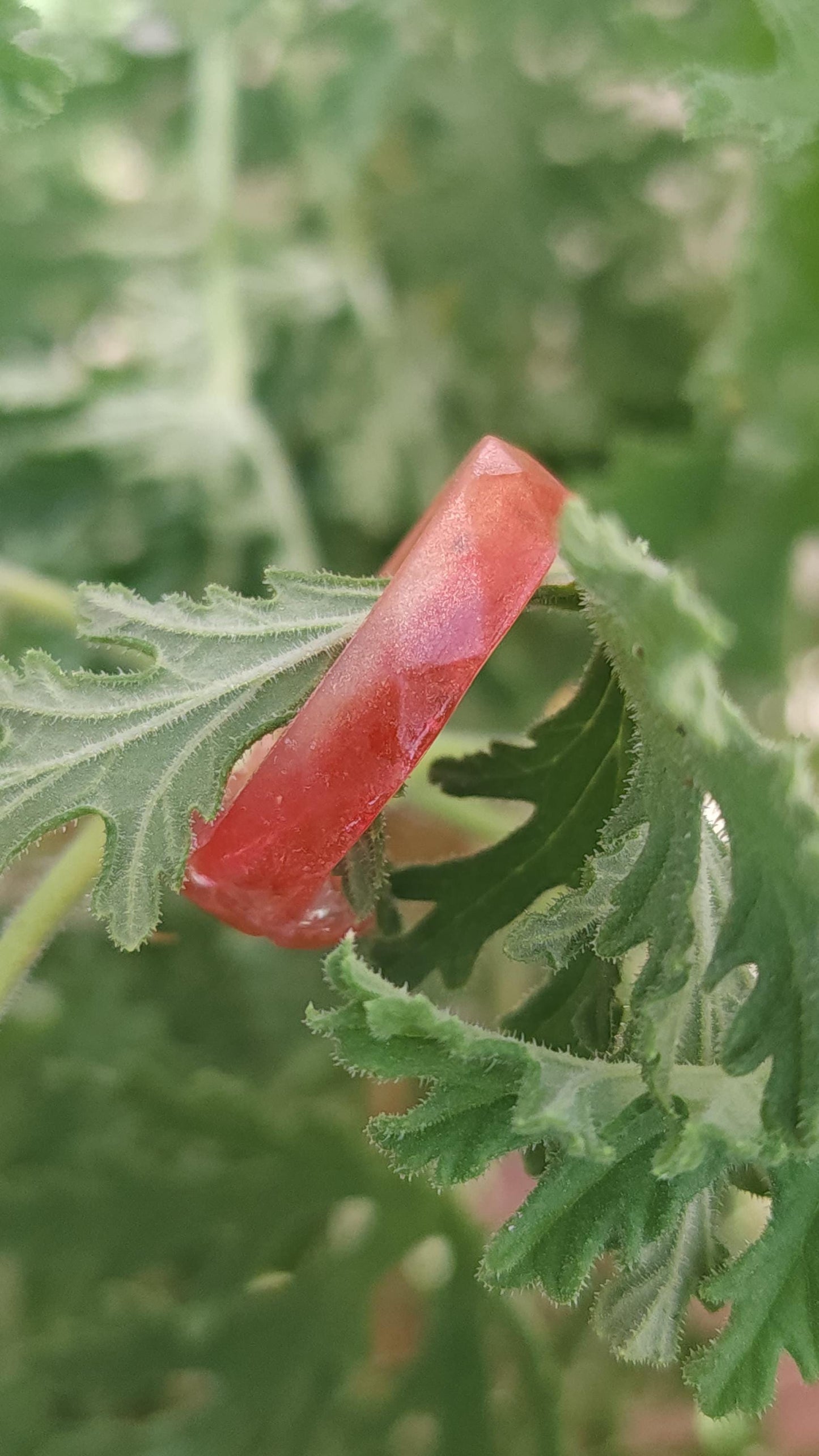 Bloodwake - Red Agate Witch Ring- Vitality and Courage